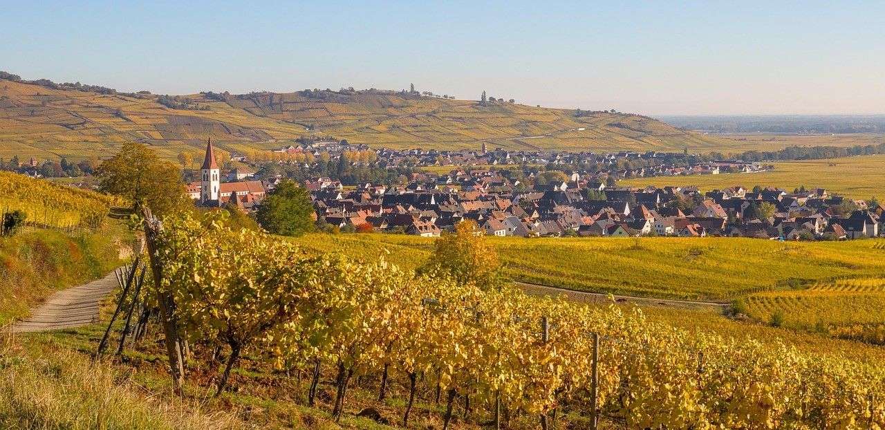Route des vins  l'Hôtel Le Bugatti